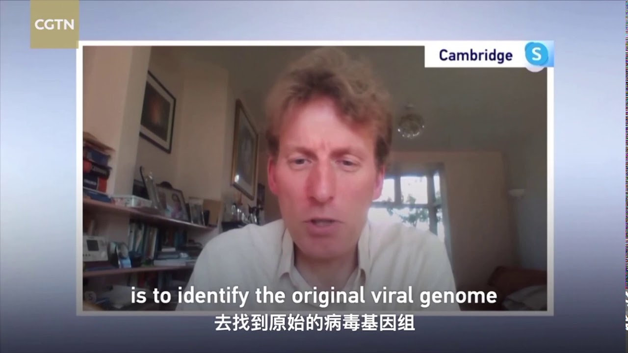 &ldquo;Phylogenetic network analysis of SARS-CoV-2 genomes&rdquo;