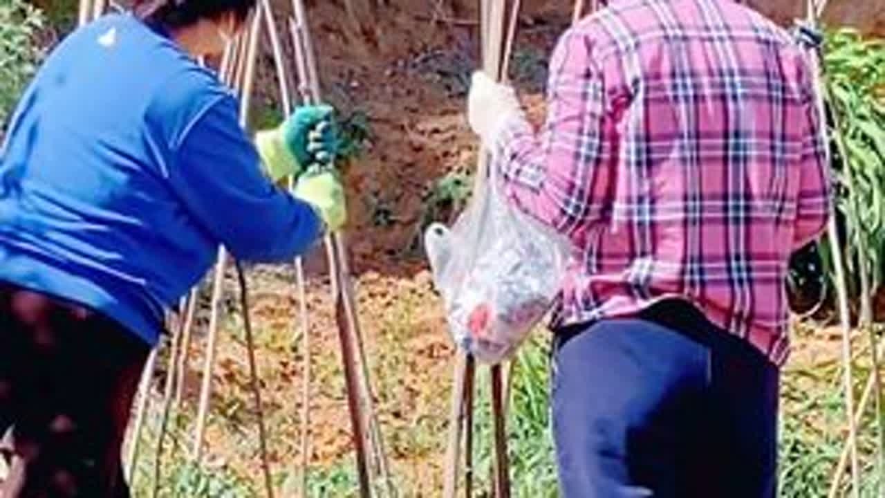 #小时候，幸福是一件东西，拥有就幸福，长大后，幸福是一个目标，达到就幸福，成熟后，发现幸福原来是一种心态，领悟就幸福#劳动的快乐 #小菜园的农家菜 #和妈妈一起的时光 #记录真实生活