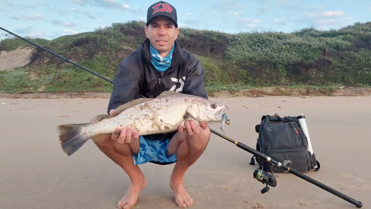 Kob on paddle tail.         #surfcastinglures     #saltwaterlure