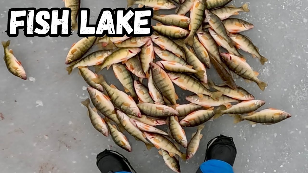 Dangerously Thin Ice Yellow Perch Fishing At Fish Lake