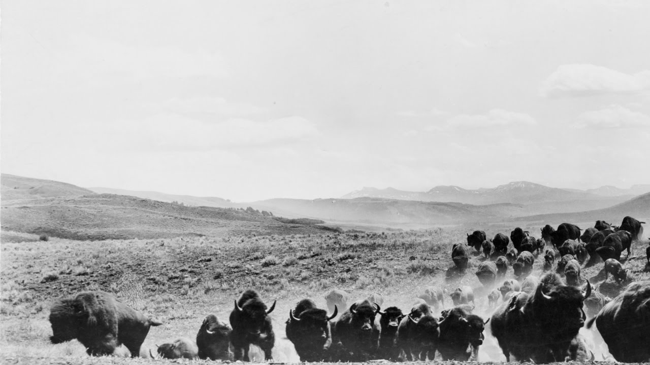 Great Plains: An Environmental History