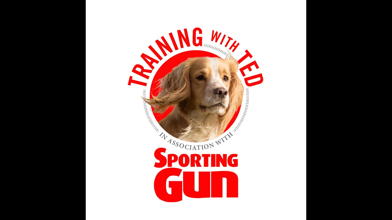 Gundog Training - Training With Ted...How To Teach “Taking A Line”