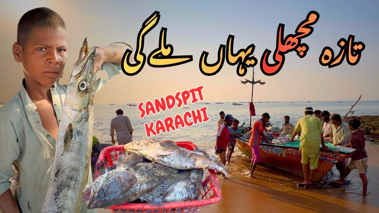 fresh fish🐟 | sandspit karachi fish🐠 market | karachi fish hourbour | sea food 🍤 | price update