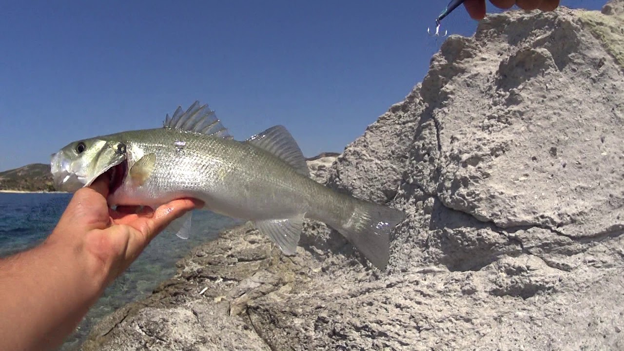 Fo&ccedil;a Lrf Micro Jiglerle Levrek Avı Ultra Light Shore Jigging for SeaBass