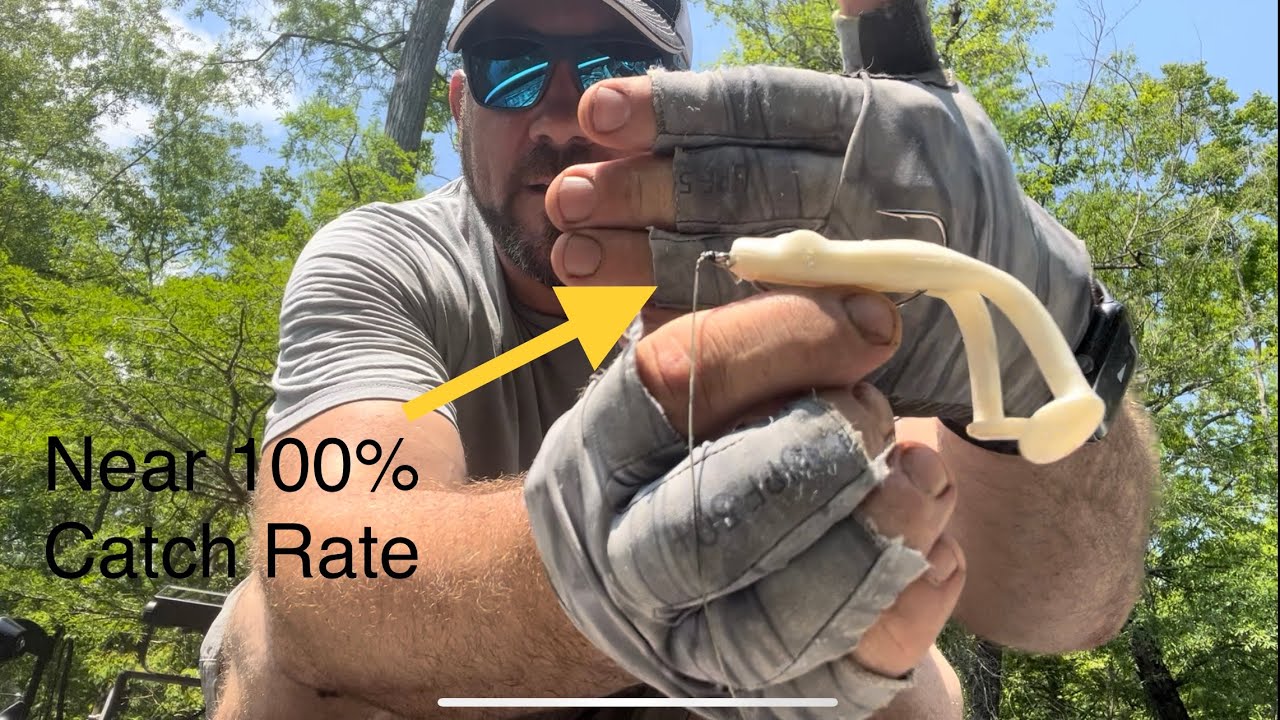 You&rsquo;ve Been Rigging A Ribbit Frog Wrong This Whole Time: Wanna Bet