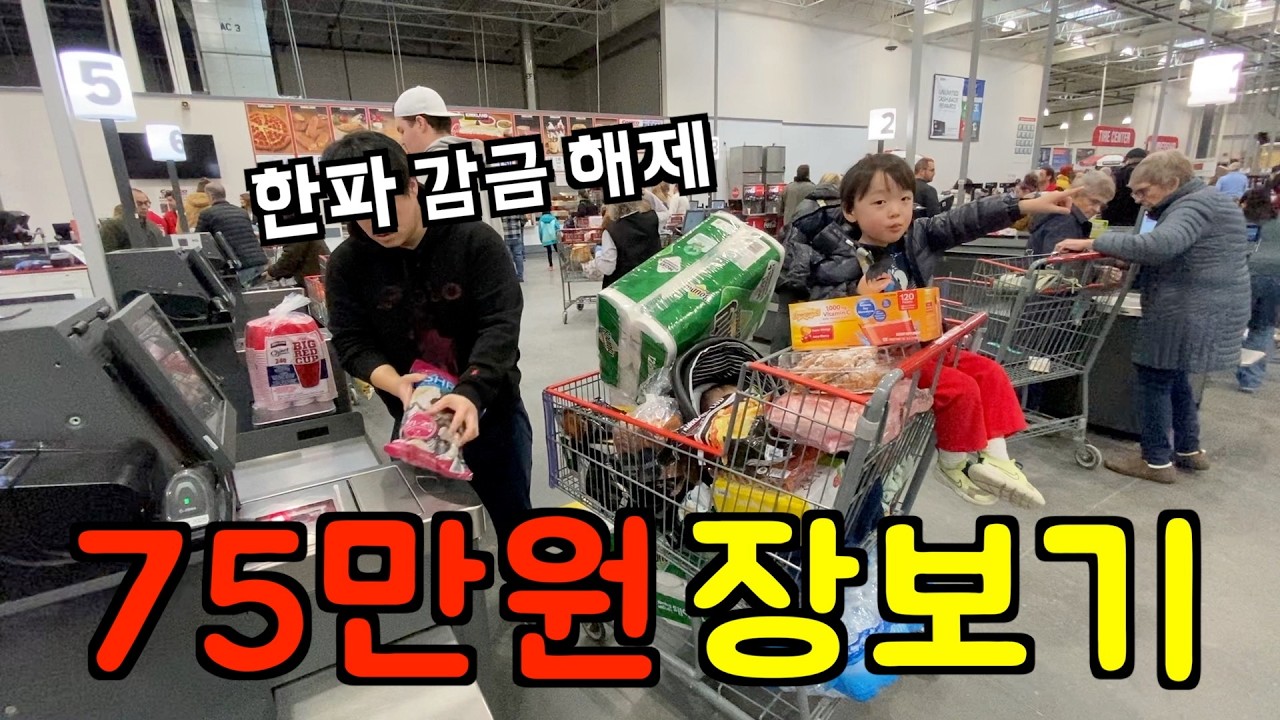 미국 일상 🇺🇸 (한파 감금 해제) 10일 만의 집 탈출, 75만원 장보기 🥶 미국 브이로그