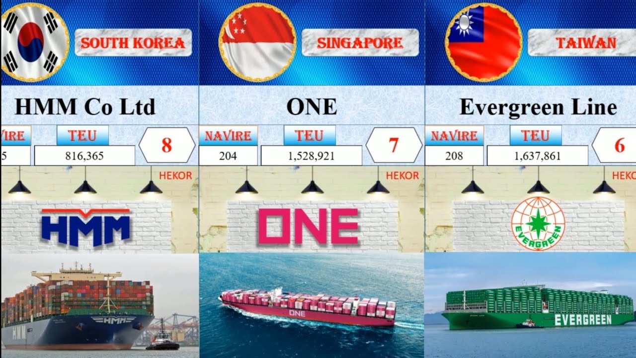 30 largest shipping companies of the world 🌎🌍 ll alphaliner