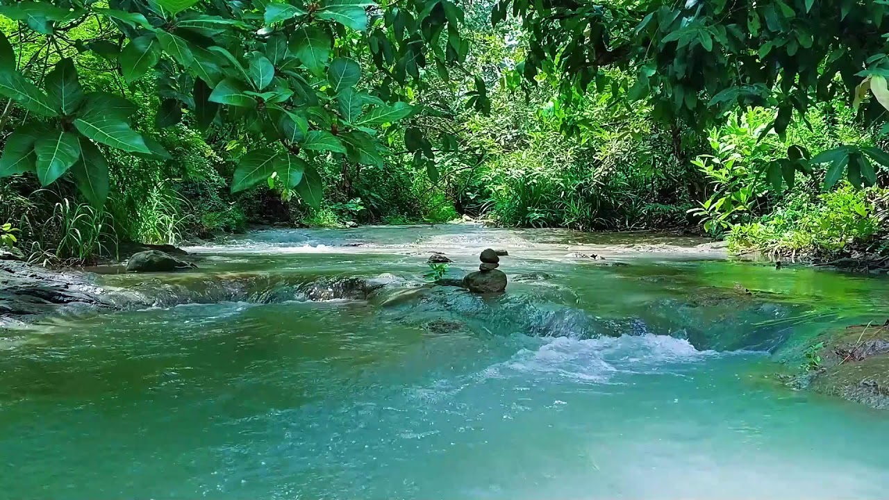 Deep Sleeping Relaxing Music 🌲 Mountain Stream Ambience for Restful Nights