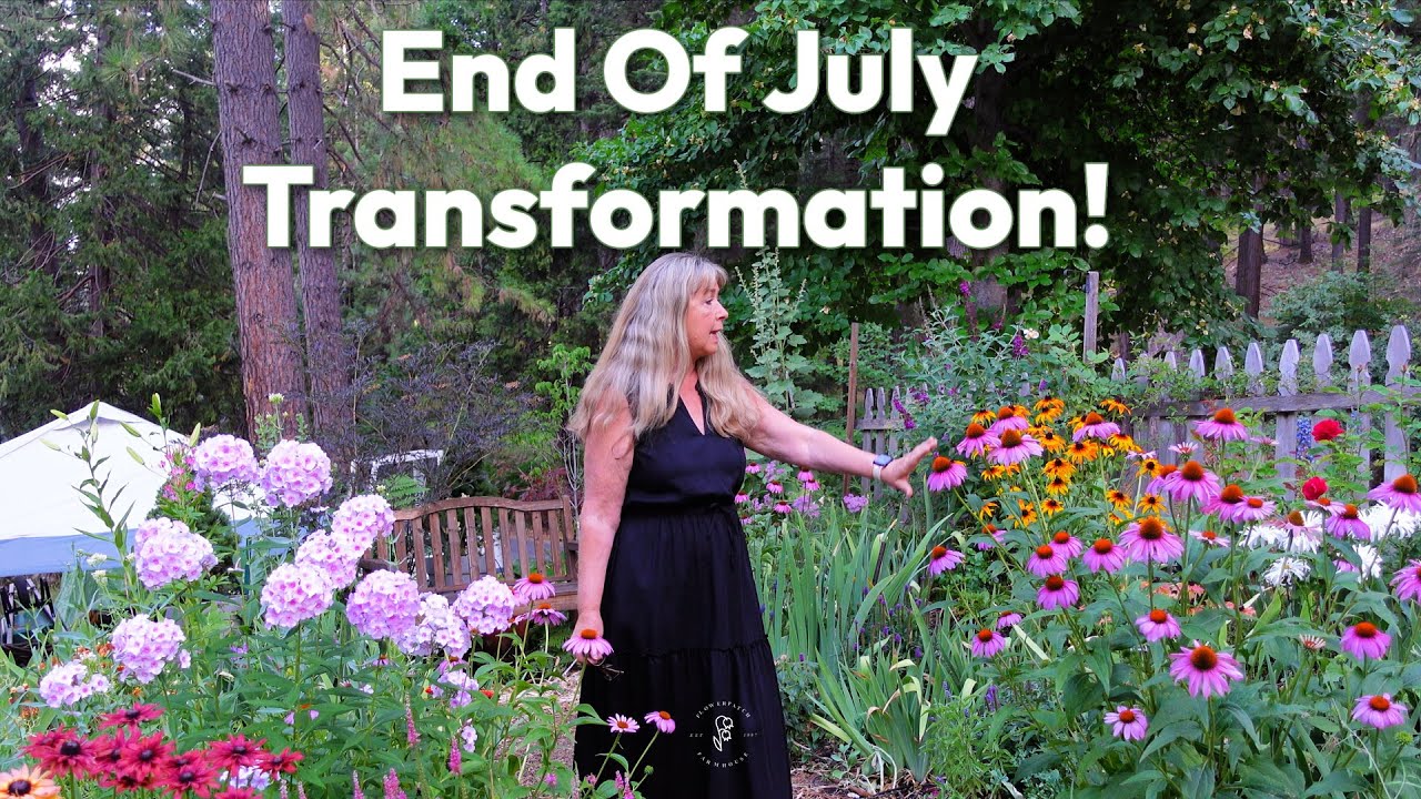 Lush Entrance Garden Tour & Big Changes! Saying Goodbye to Daisies
