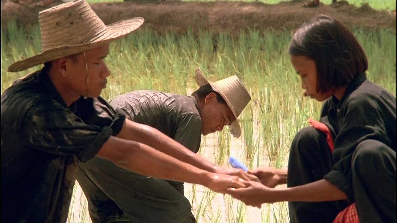 Killing Fields 1