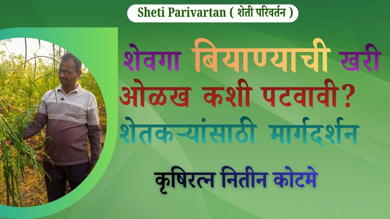 शेवगा बियाण्याची खरी ओळख कशी पटवावी? शेतकऱ्यांसाठी मार्गदर्शन | नितीन कोटमे