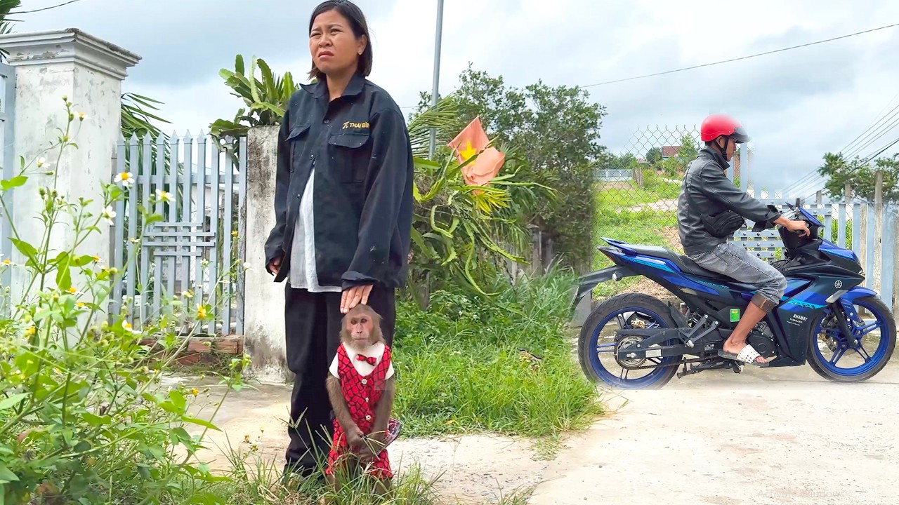 Family Love! Dad Quickly Takes Baby Monkey to the Hospital