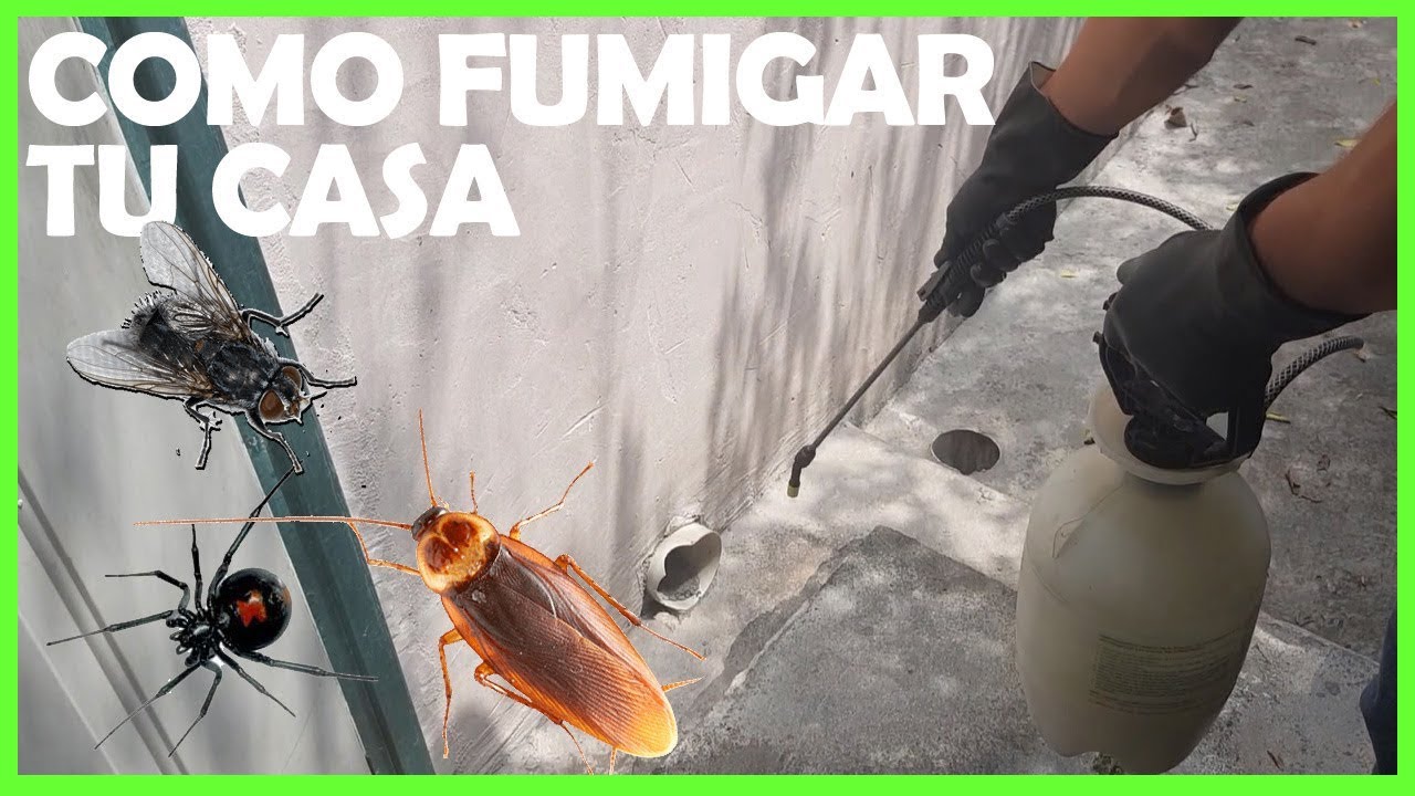Como fumigar tu casa