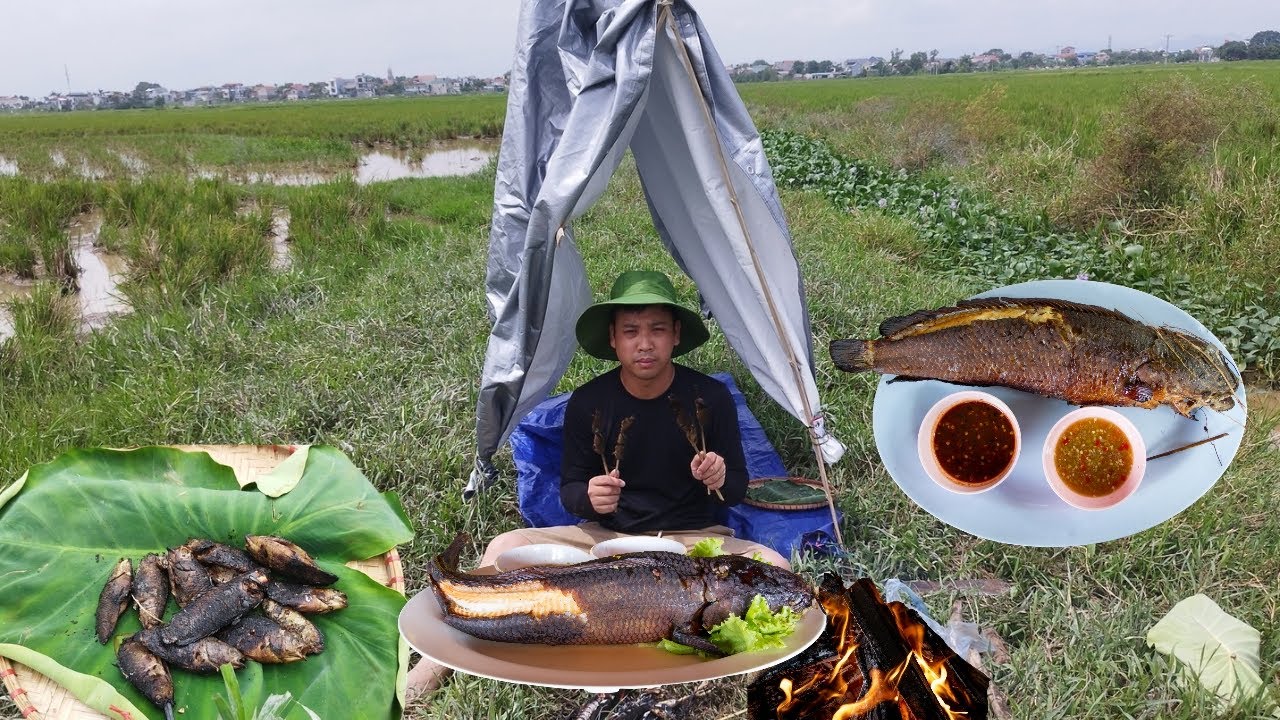Rural Survival Life . Catching and Grilling Fish In The Countryside