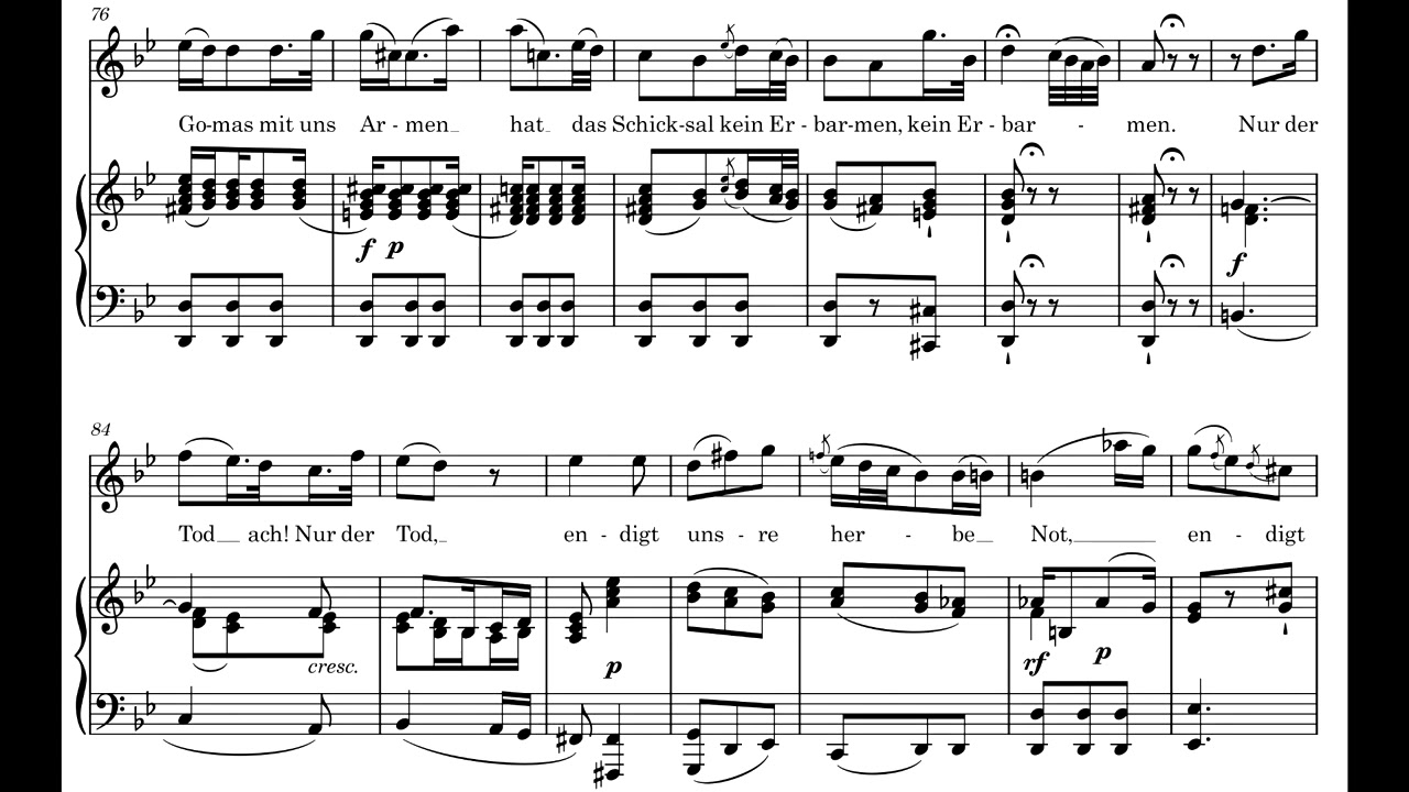 Tiger Wetze nur die Klauen - W. A. Mozart (Piano Accompaniment)
