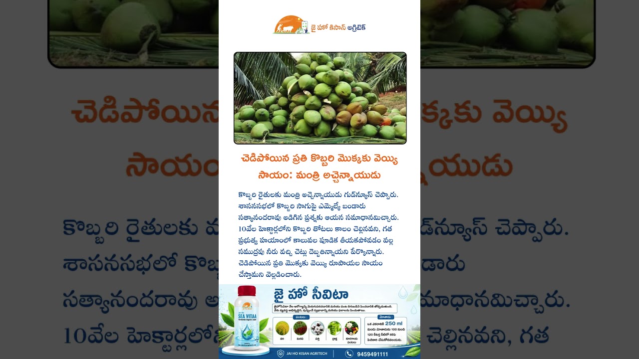 చెడిపోయిన ప్రతి కొబ్బరి మొక్కకు వెయ్యి సాయం #telugu #agriculture #viralvideo