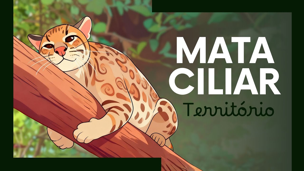 Associação Mata Ciliar | Ep. 01- Território​