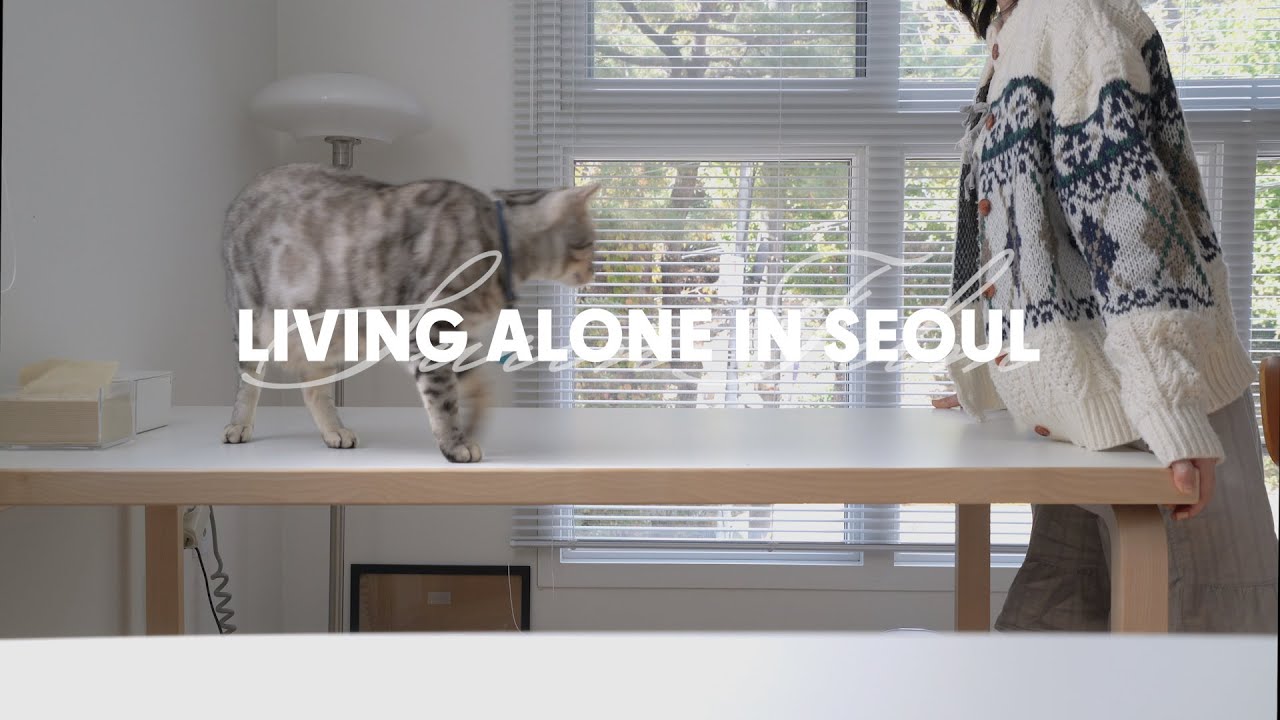vlog. Seoul Life. Выходной день для фрилансера, который занимается просроченной домашней работой.