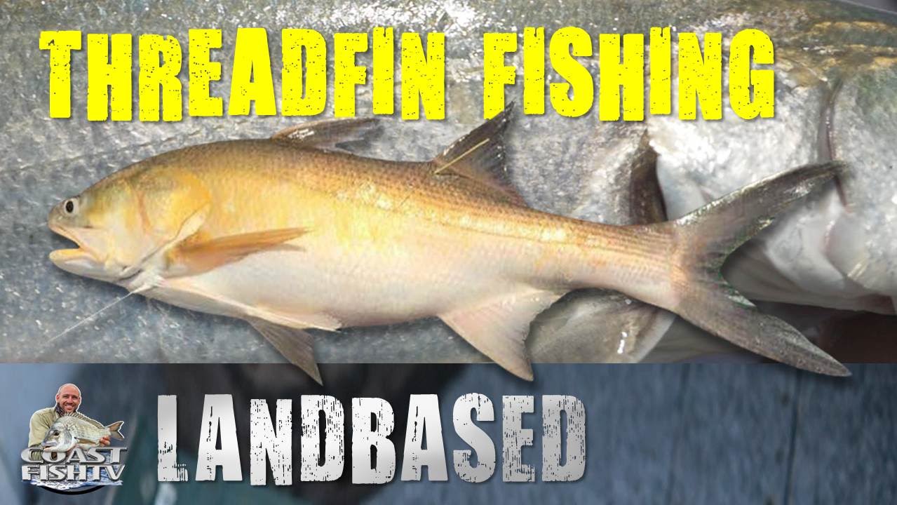 БОЛЬШИЕ СЕКРЕТЫ ЛОВЛИ НИТОПЛАВНИКА НА СУЖБЕ | CoastfishTV Эпизод 7