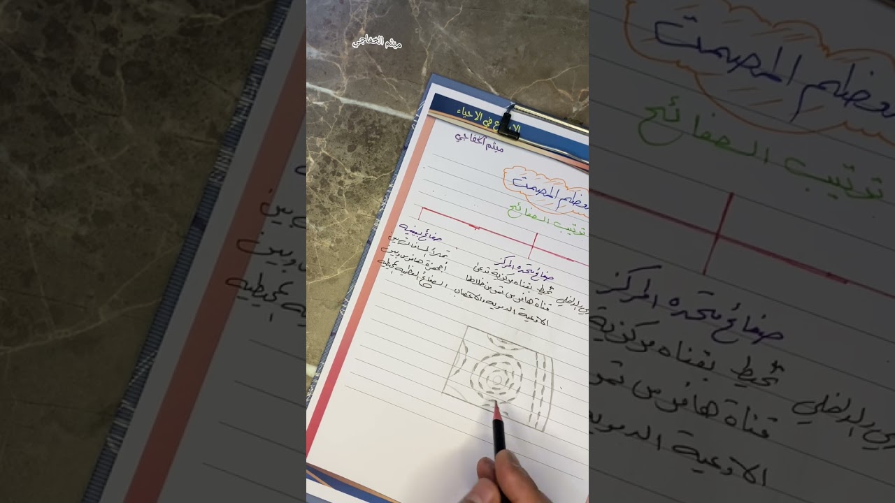 رسم العظم المصمت