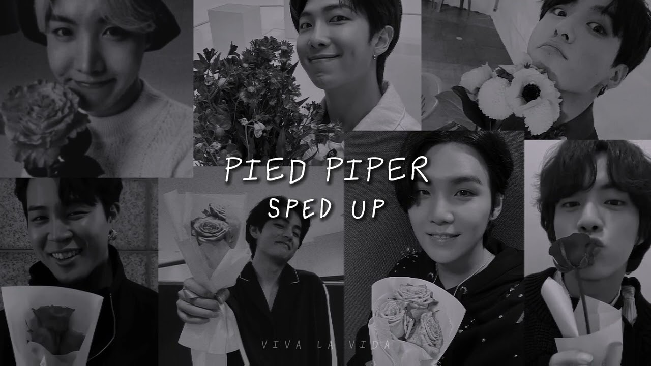 Pied Piper ★ sped up  [by BTS]