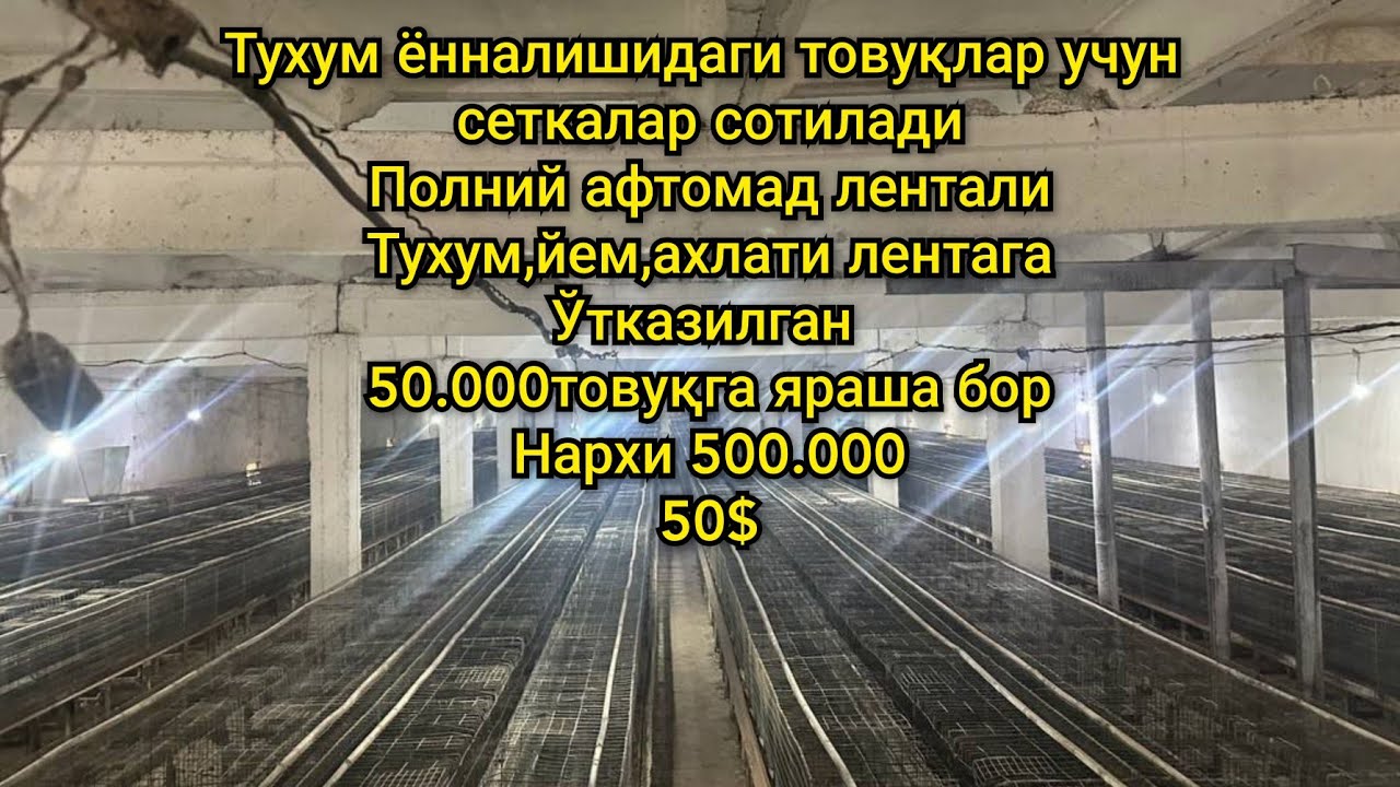 tovuq setka tuxum yoʻnalishidag tovuqlar uchun zanglamas metal xammasi aftomat tayor biznes sotiladi