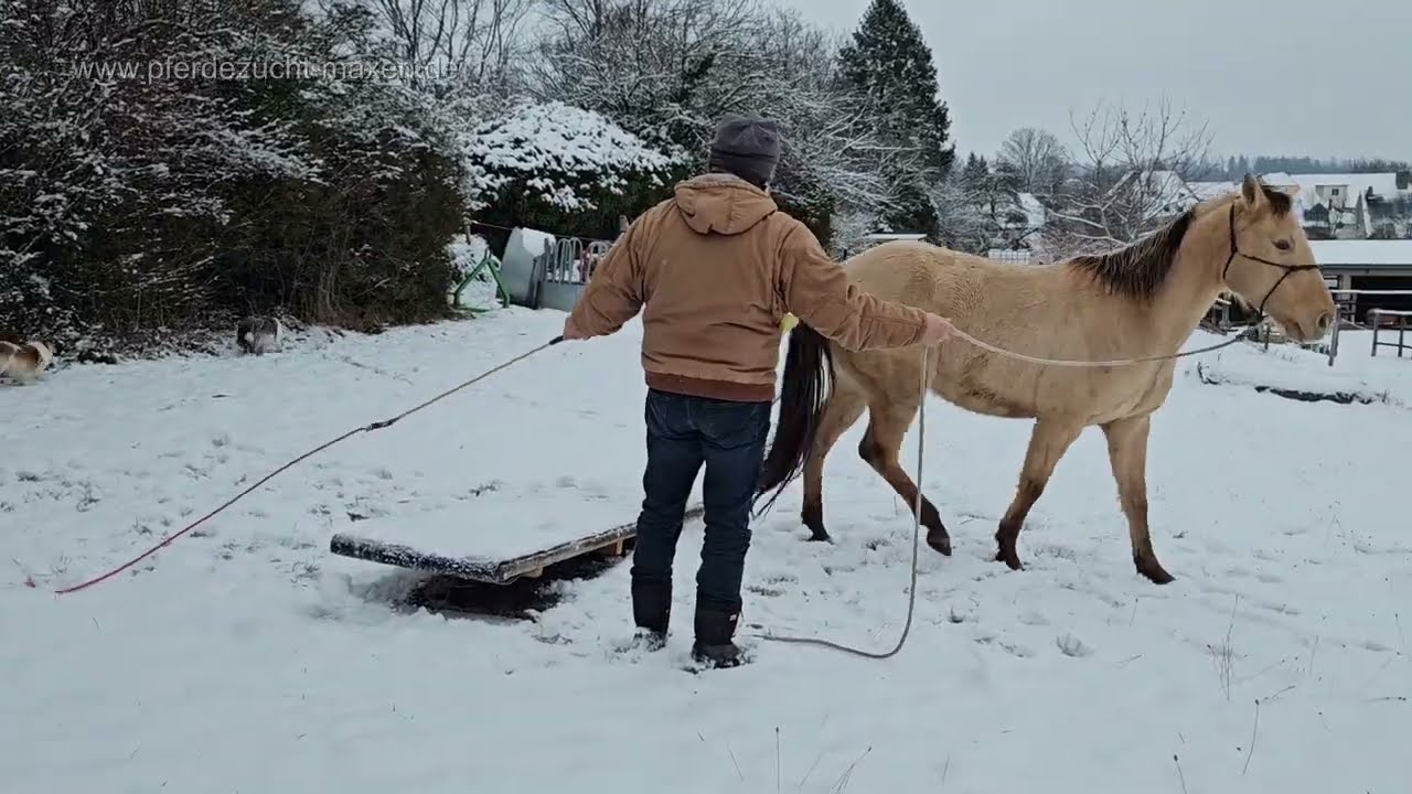 ZEB im Schnee