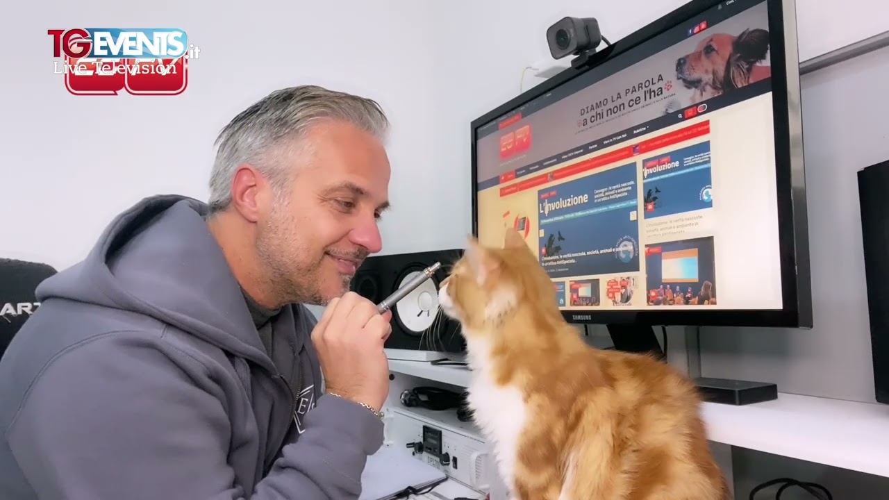 CGTV Channel la curiosità è gatto con Marco Anelli