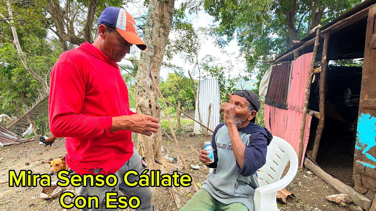 El Chino El Viejo Sabio Del Campo Brison Puerto Plata República Dominicana 