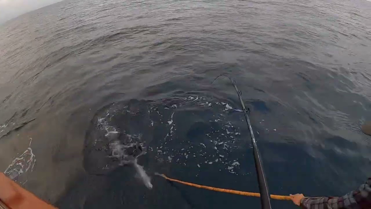Legend Sportfishing 