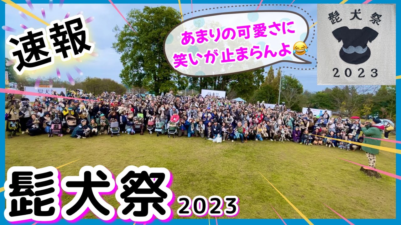 【速報☆髭犬祭2023】あの時の笑いと感動をもう一度！可愛いミニチュアシュナウザーが大集合！ in ドギーズアイランド 2023年11月12日｜イベント