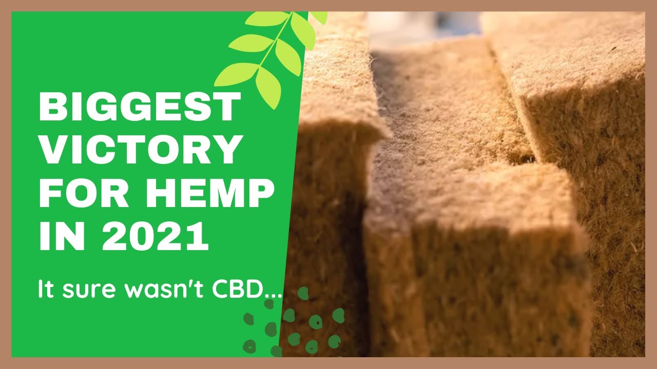 Best of Hemp in 2021?