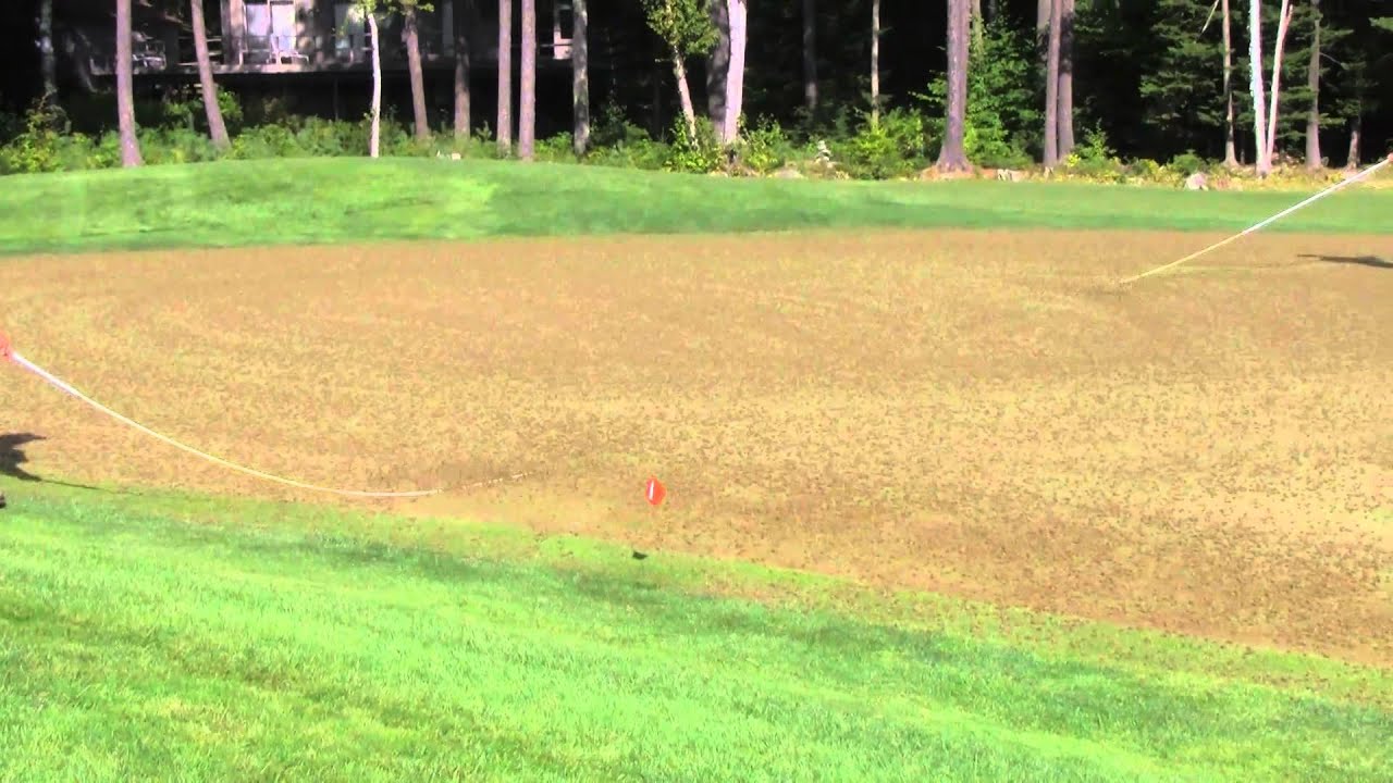 Aerification process explained