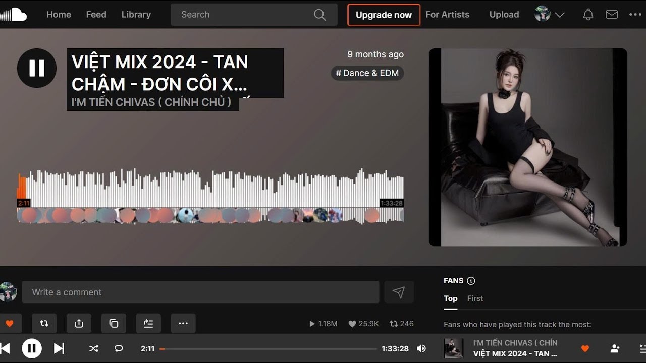 VIỆT MIX 2024 - TAN CHẬM - ĐƠN C&Ocirc;I X NG&Agrave;Y MAI T&Ocirc;I SẼ VIẾT S&Aacute;CH - TCV MIX