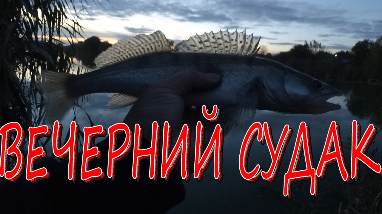 ⚫Ловим судака и щуку. Вечерняя рыбалка на степной речке. Он все таки клюнул