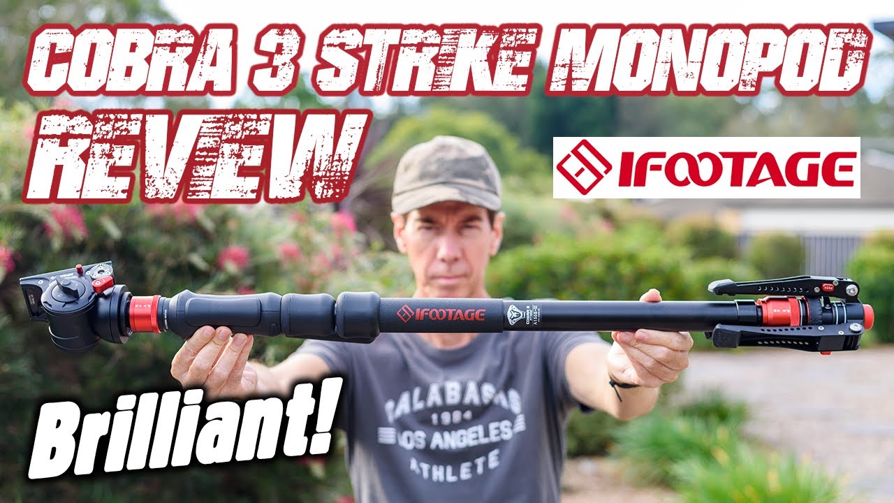 iFootage Cobra 3 Strike Monopod Review | WHY It's So BRILLIANT!
