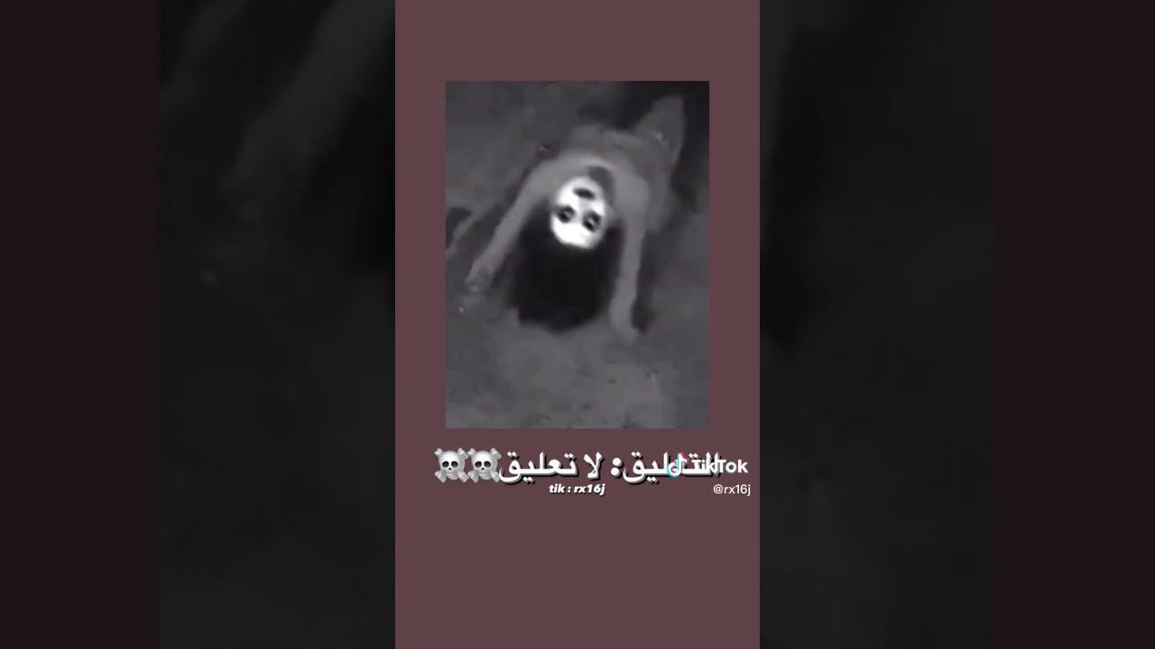 #رعب_نص_الليل #333