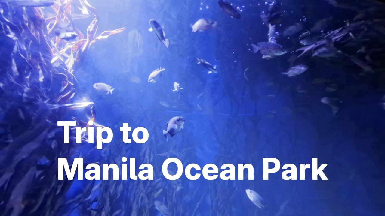 Philippines Travel: A Day at Manila Ocean Park!