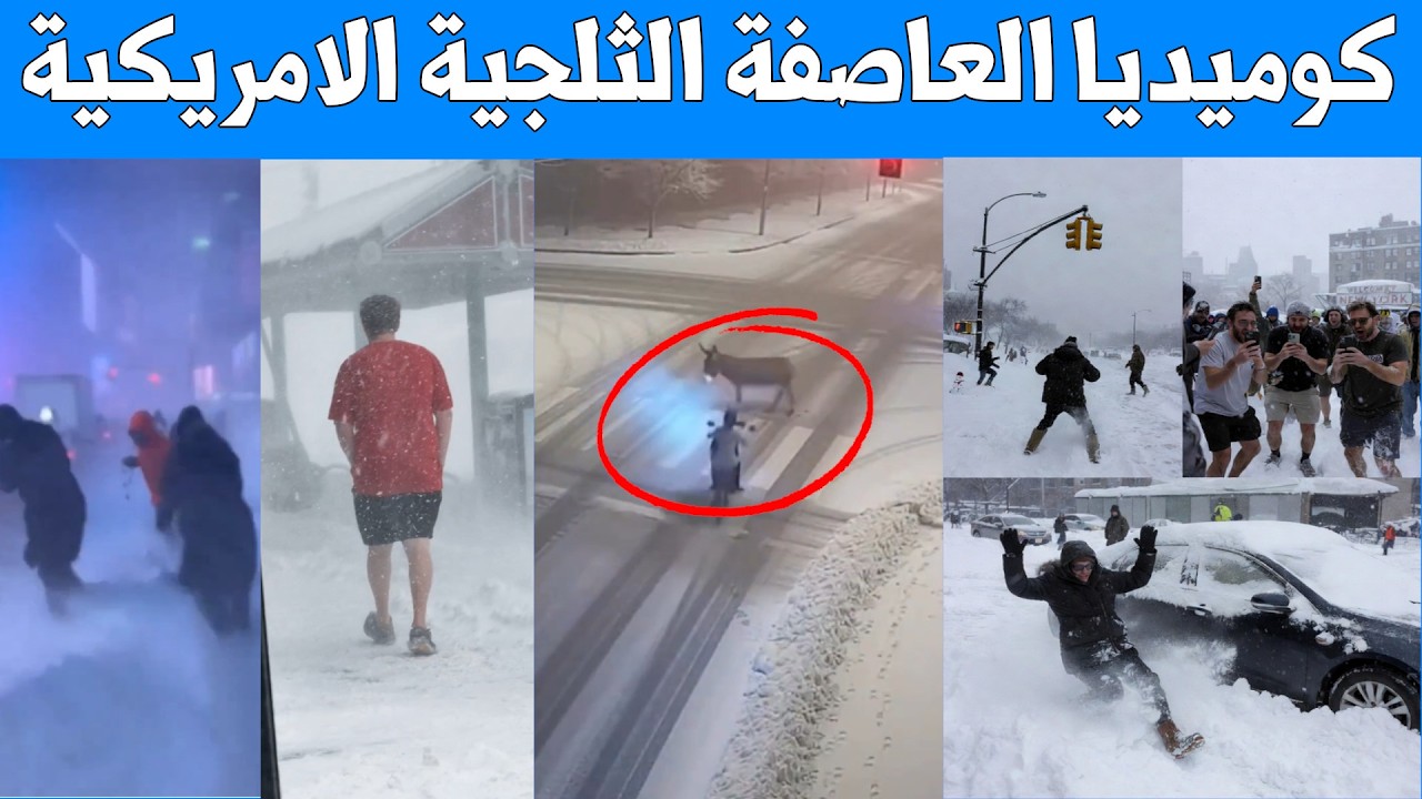فيديوهات كوميدية من العاصفة الثلجية الامريكية ... دراجة تصدم حمار - بيبي شارك وسط الثلج