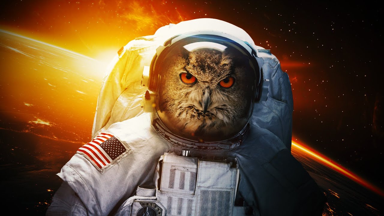 Going to Space in Fallout Tale of Two Wastelands