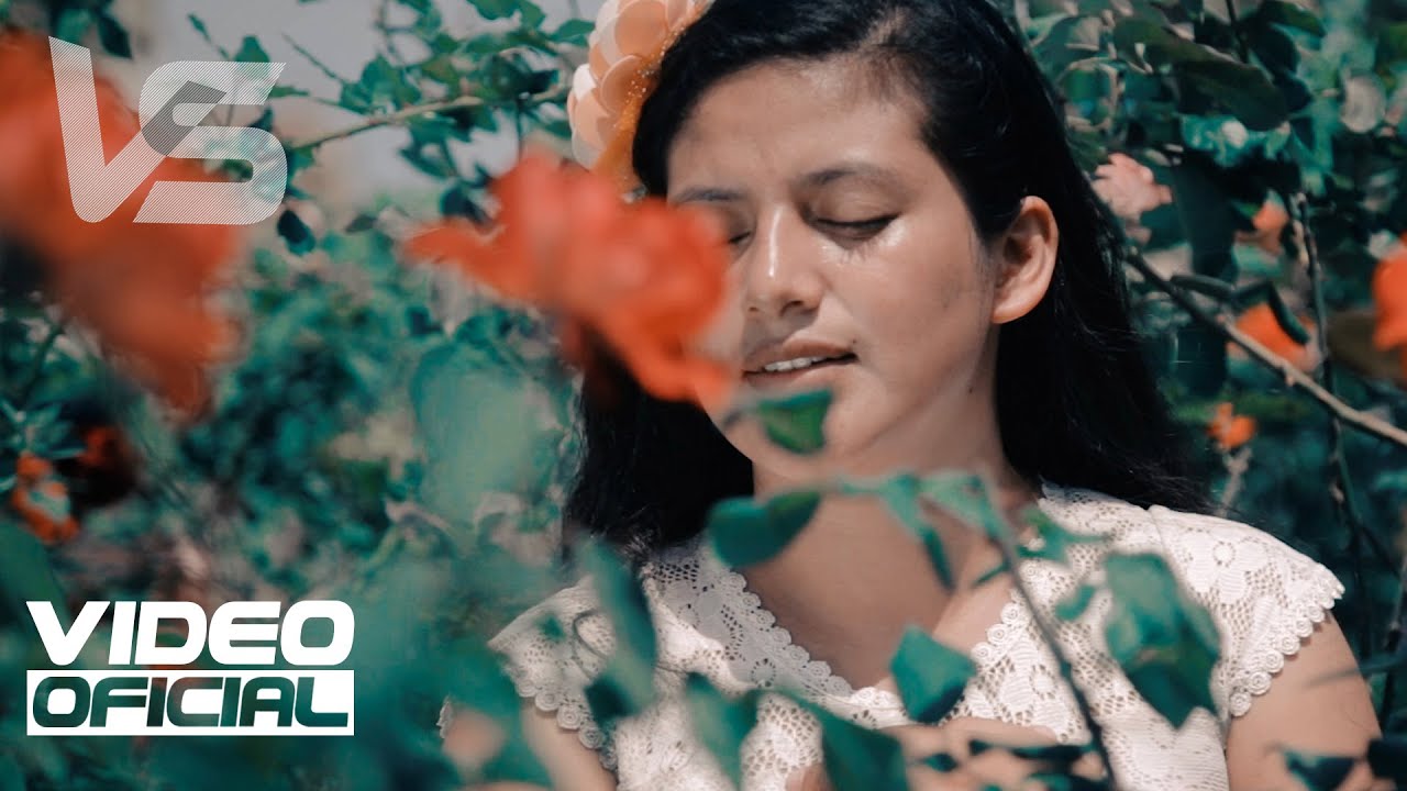 LINAJE DE DIOS /  Vida Nueva / VIDEO OFICIAL /