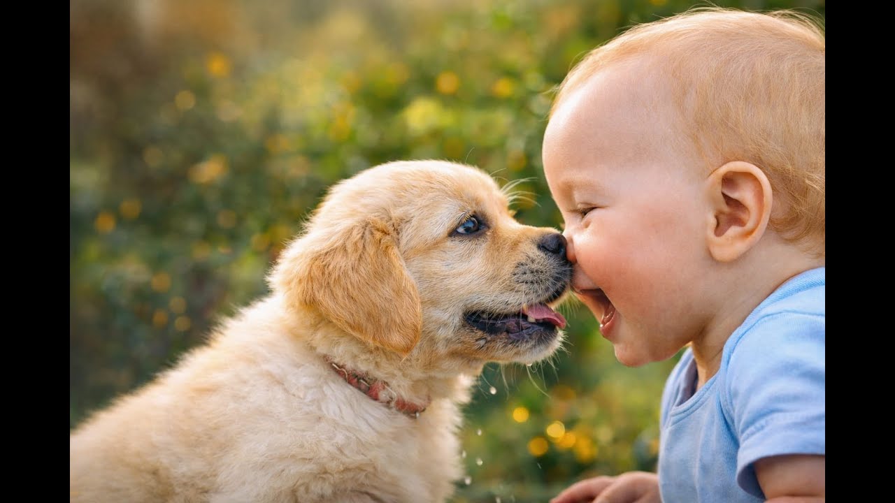 👶🐶 Best Friends From Day One 💕 | Cute Baby & Puppy Moments That Melt Hearts 🥹💖 | Babypup TV