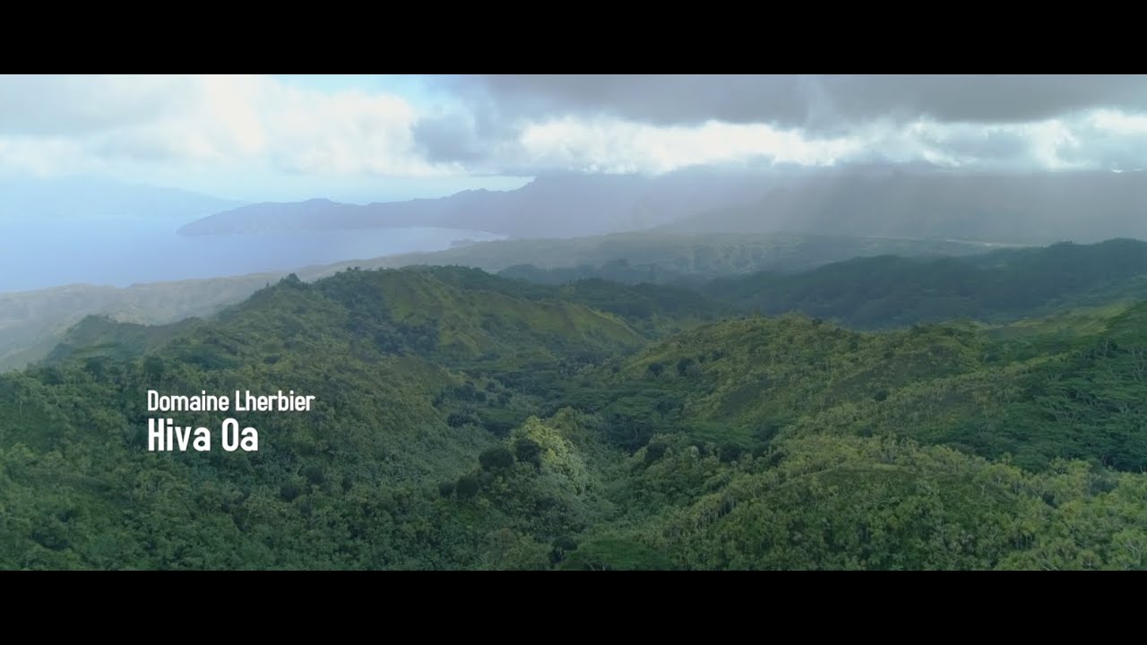 Fa'ahotu 2 - Le bois