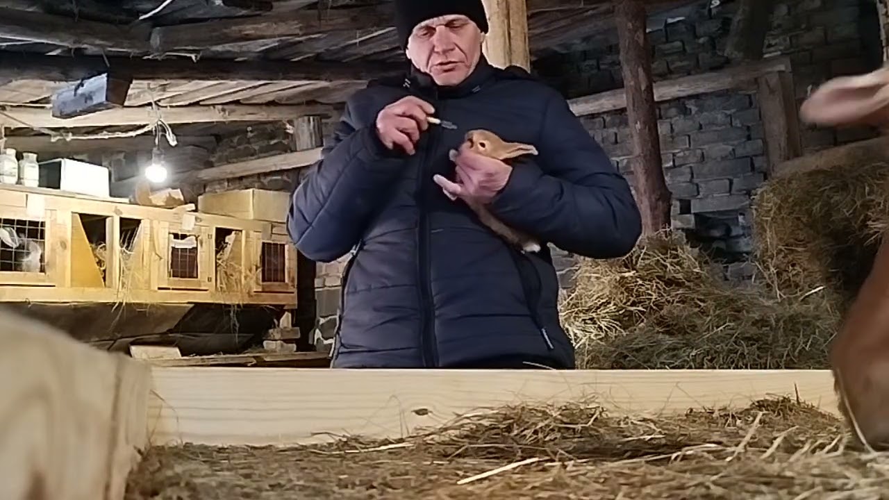 Мороз, але працювати треба...