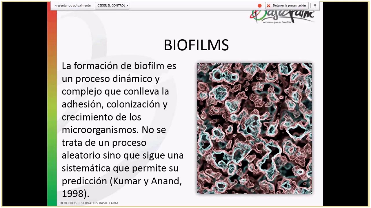 Webinar36 Cómo minimizar el impacto sanitario actual con un buen programa de limpieza y desinfección