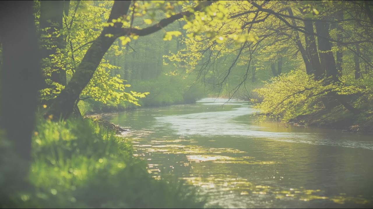 Where the Forest Breathes🌲 Soft Piano Ambient | Sylvan Soundscape - Mini Album Vol.2