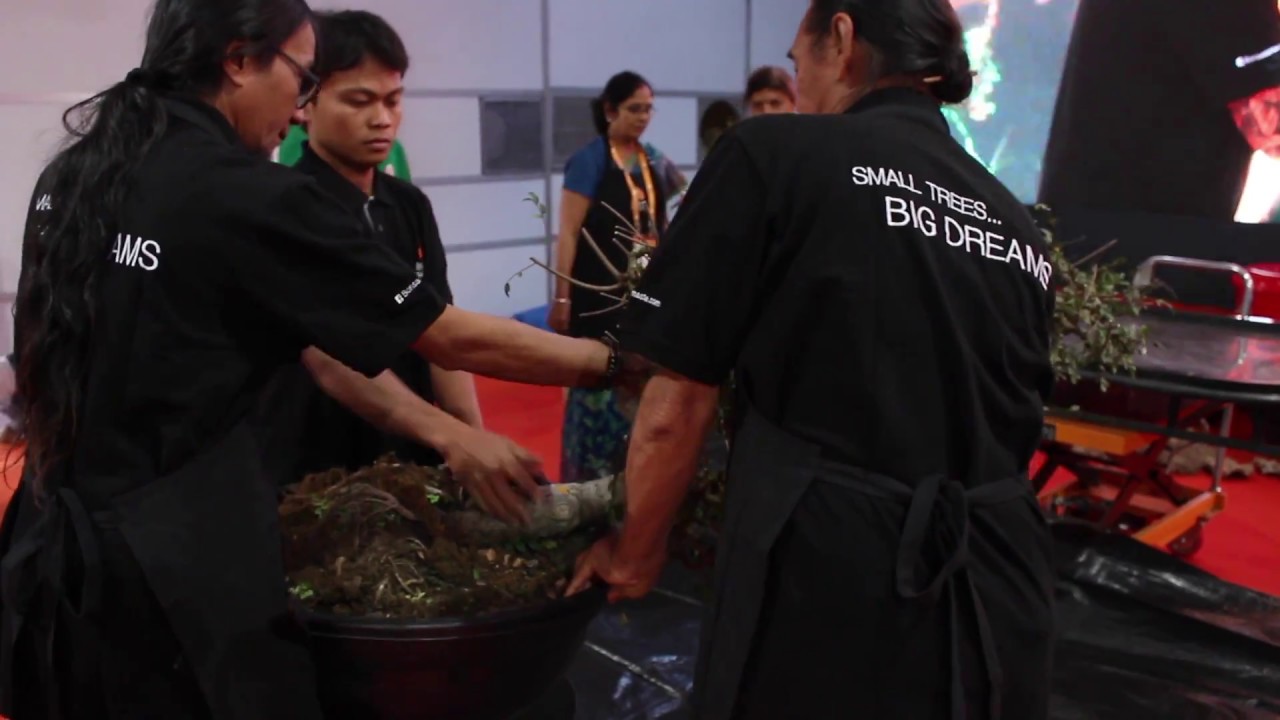 Bonsai demo by Rudy Najaon
