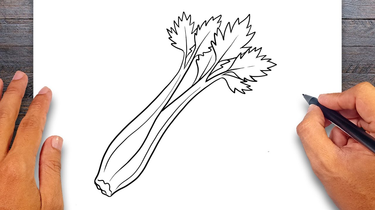 How to draw Celery