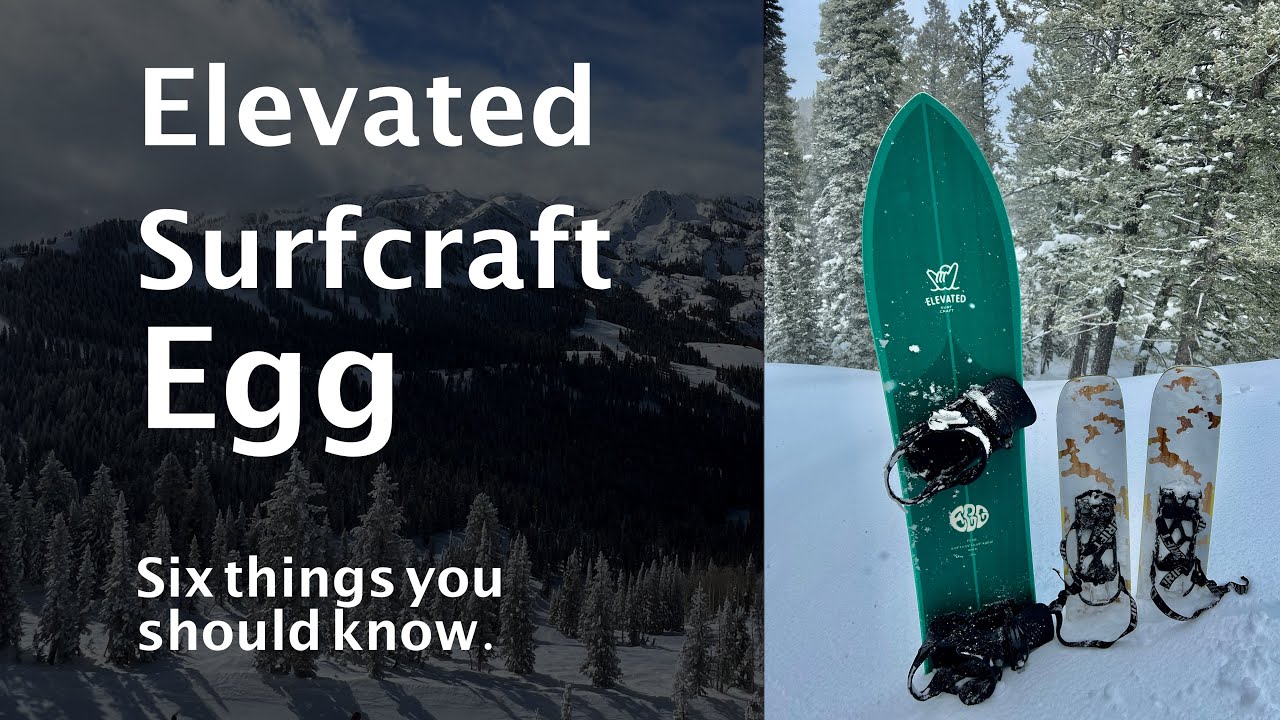Elevated Surfcraft Egg Review: Six things you should know.