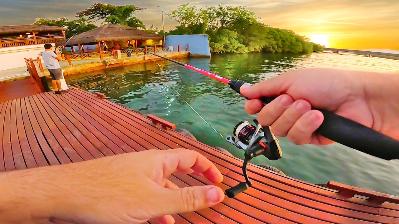 FOI TANTO PEIXE QUE TIVE DE ENCERRAR O VÍDEO - MATERIAL DE PESCA EQUILIBRADO É SUCESSO NA PESCARIA